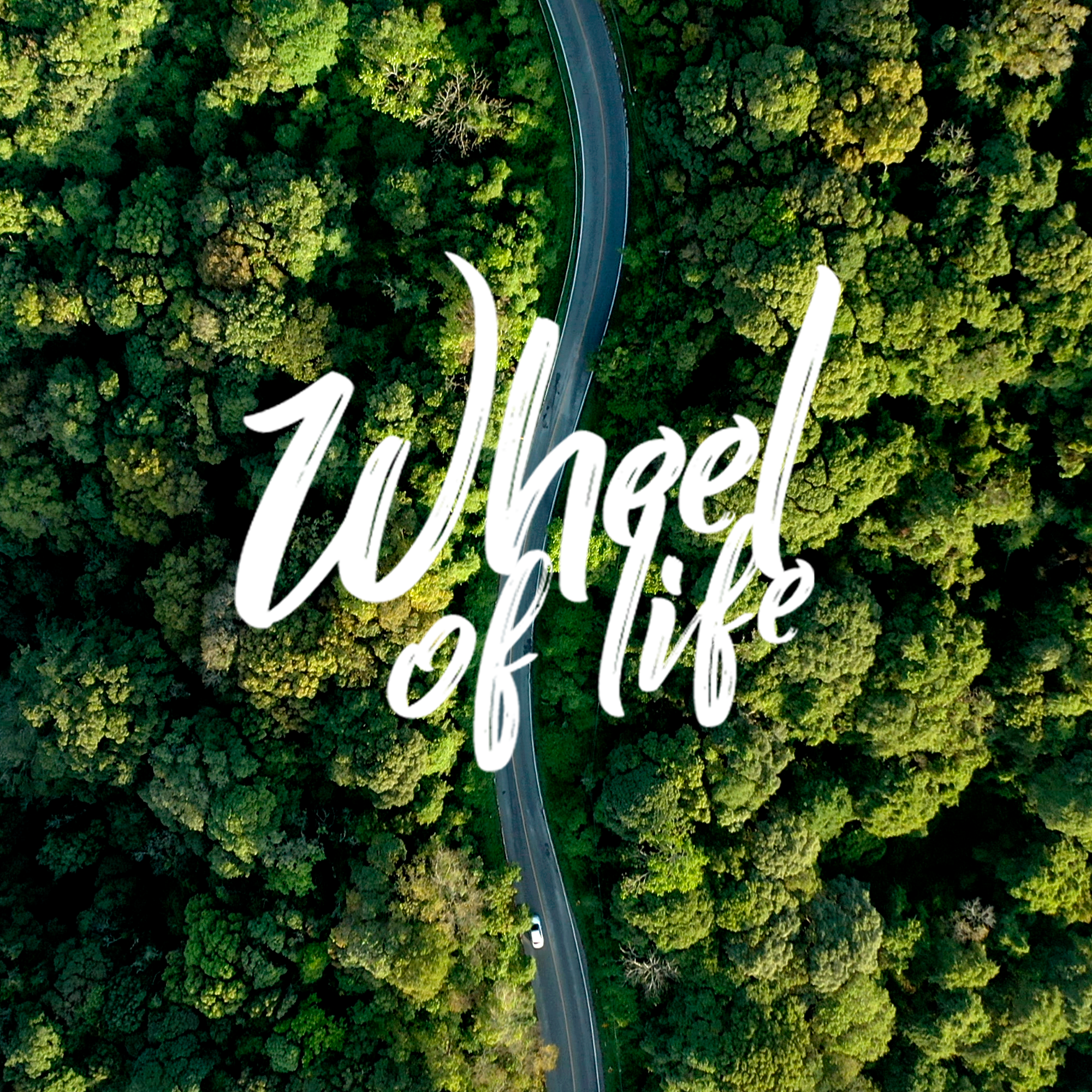 Origen de Wheel of Life