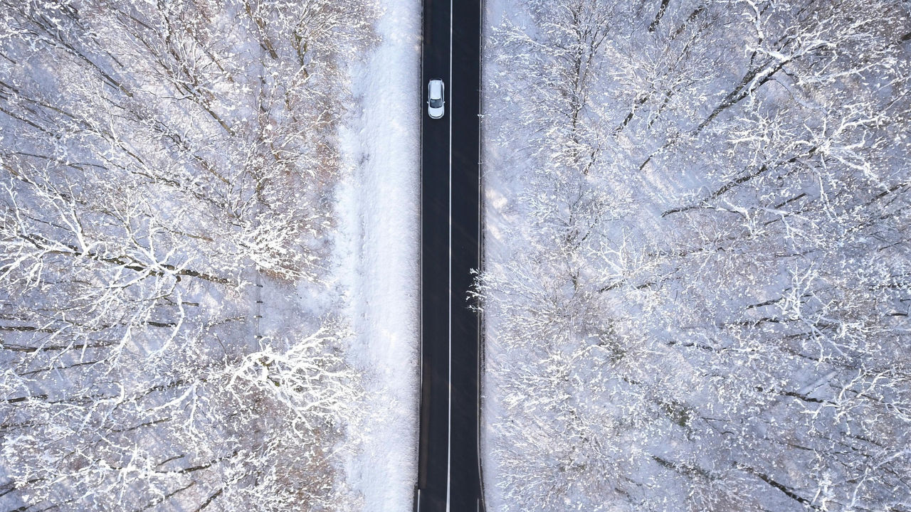 Neumáticos de invierno para todos los estilos de conducción